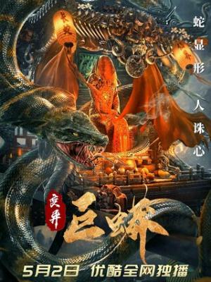 真相大白